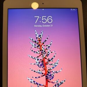 apple ipad